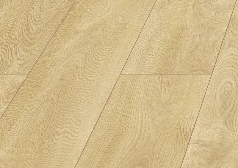Dominican Oak