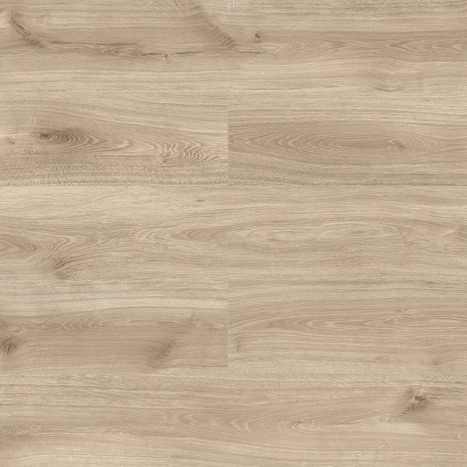 Venice Oak